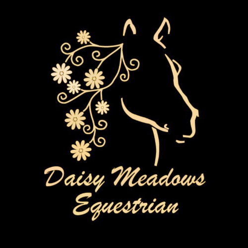 Daisy Meadows Equestrian